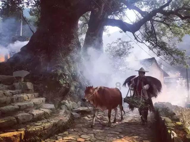 《生命平等—天下大同》:引领人类走向新文明的灯塔