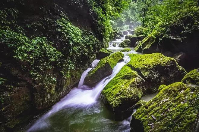 首迎春运，沪宁沿江高铁已发送旅客21万人次